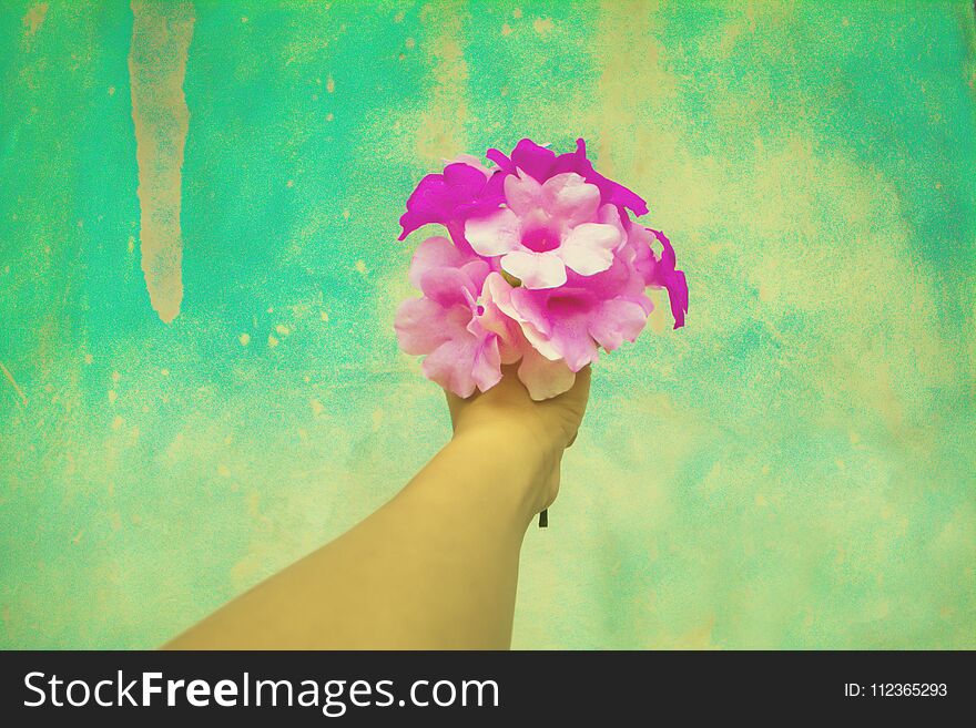 Violet and purple flower on hand