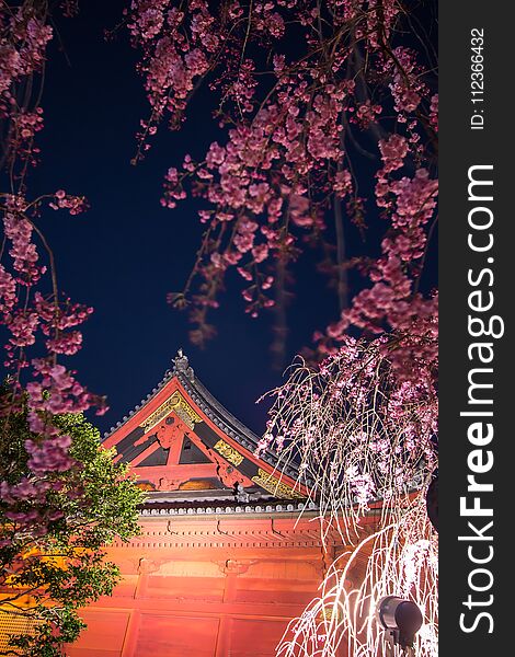 Ueno Sakura Matsuri Cherry Blossom Festival at Ueno ParkUeno Koen,Taito,Tokyo,Japan on April 7,2017:Bronze statue of Prince Ko