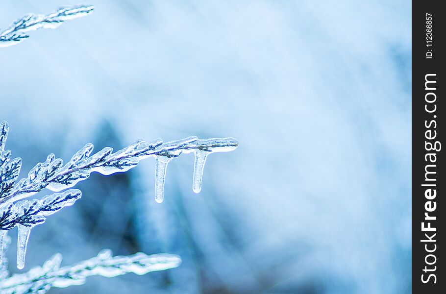 Icy Blue Winter Background Scene