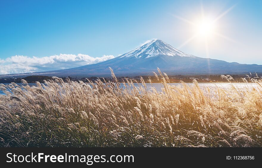 Mount Fuji In Autumn Color, Japan