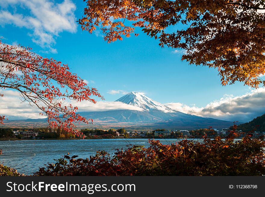 Colorful Autumn in Mount Fuji, Japan - Lake Kawaguchiko is one of the best places in Japan to enjoy Mount Fuji scenery of maple leaves changing color giving image of those leaves framing Mount Fuji. Colorful Autumn in Mount Fuji, Japan - Lake Kawaguchiko is one of the best places in Japan to enjoy Mount Fuji scenery of maple leaves changing color giving image of those leaves framing Mount Fuji.