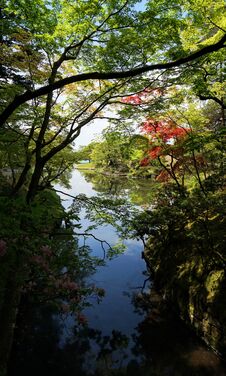 Japanese Garden Stock Images Japanese Garden Stock Images