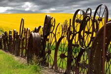 Fence Of Wheel Rims Against Rapeseed Royalty Free Stock Images