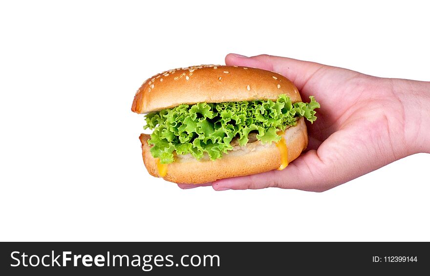 Hamburger on hands on white background,Hamburgers focus on healthy vegetables.