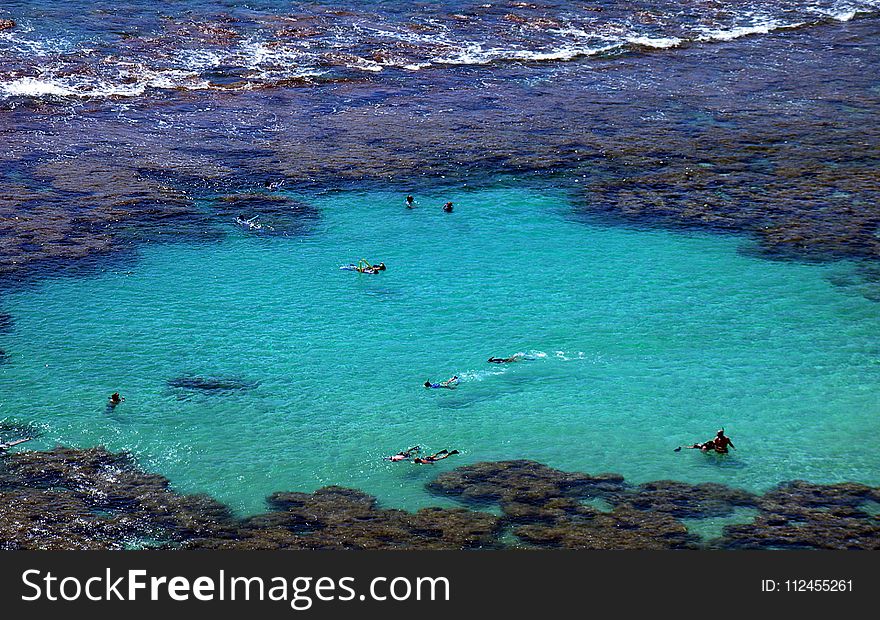 Group Of People On Body Of Water