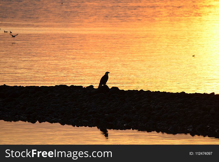 Sky, Water, Horizon, Sunrise