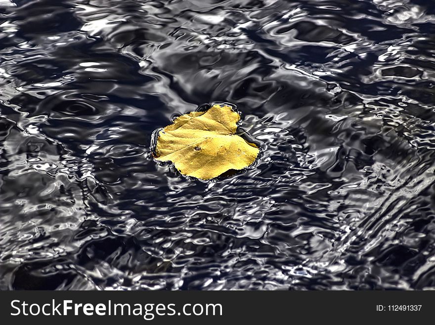 Water, Yellow, Reflection, Water Resources