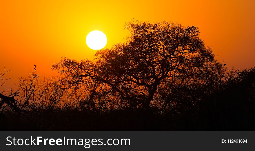 Sky, Sun, Sunrise, Sunset