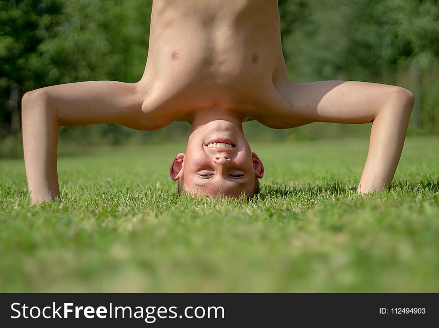 Grass, Plant, Lawn, Meadow