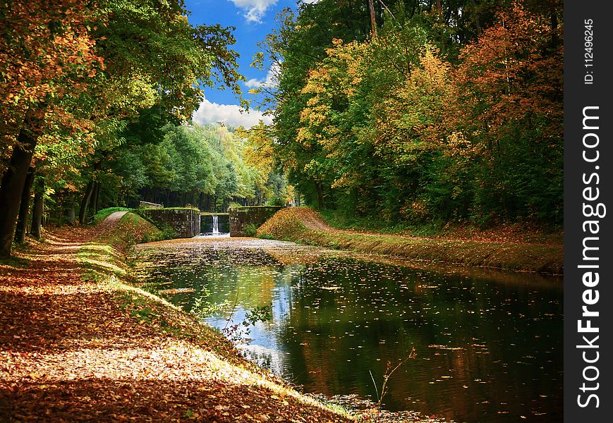 Reflection, Waterway, Water, Nature