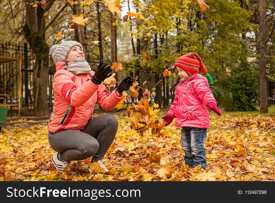 Nature, Leaf, Autumn, Tree