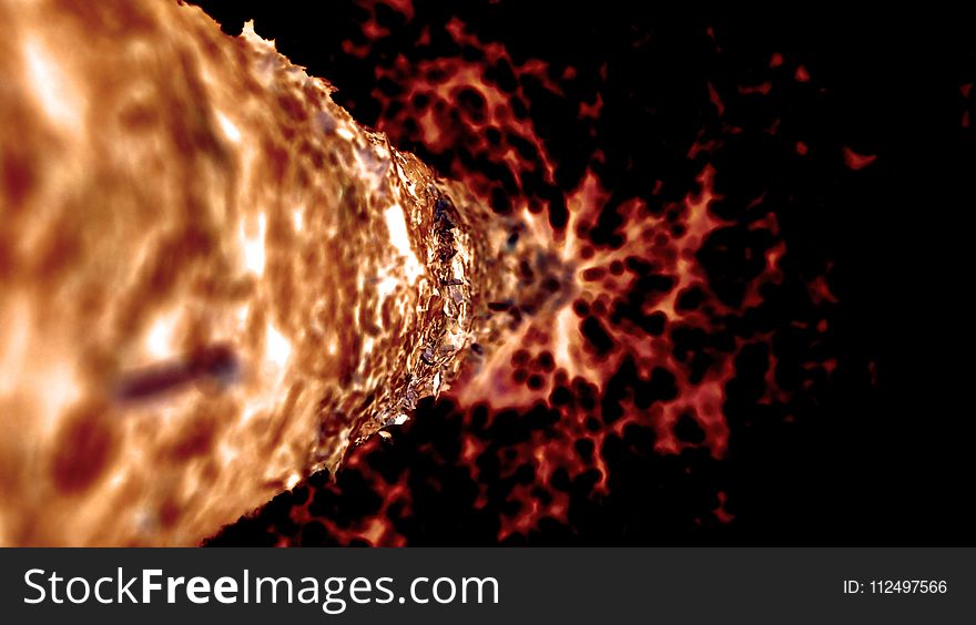 Macro Photography, Close Up, Flame, Organism