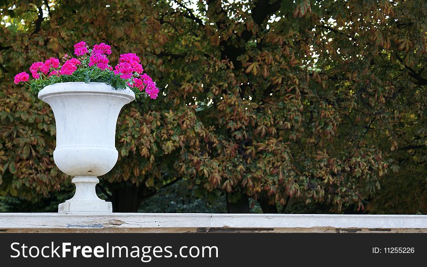 Flower pot at the Luxembourg Gardens , Paris