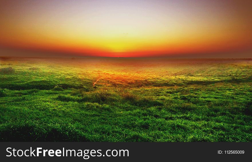 Photo of Green Grass Field