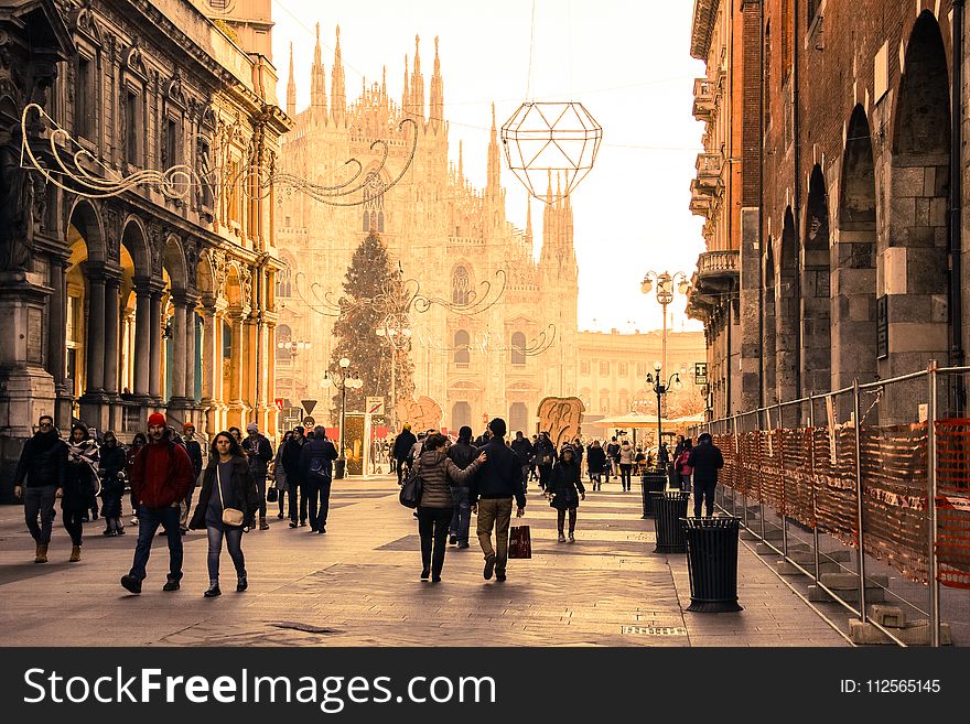 Group of People in Between Buildings