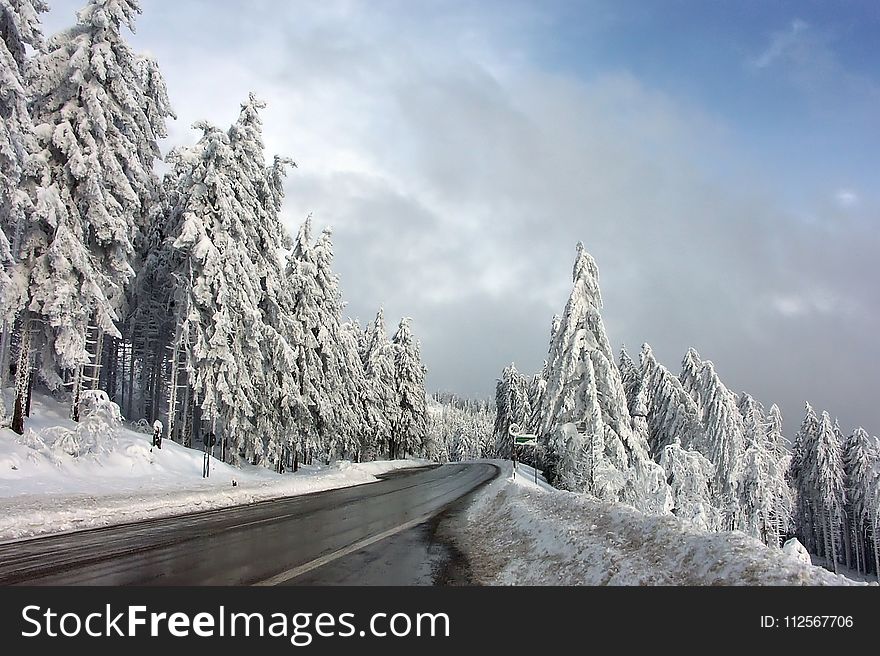 Winter, Snow, Tree, Sky