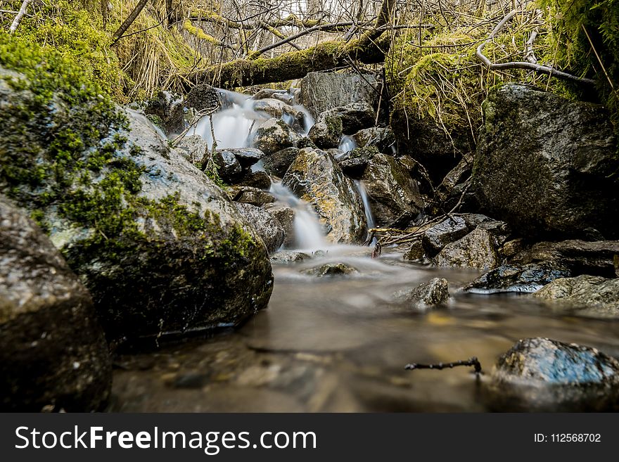 Water, Nature, Stream, Body Of Water