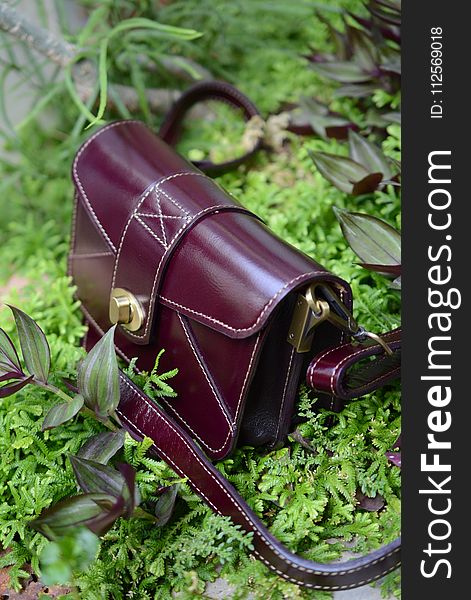 Purple, Plant, Grass, Handbag
