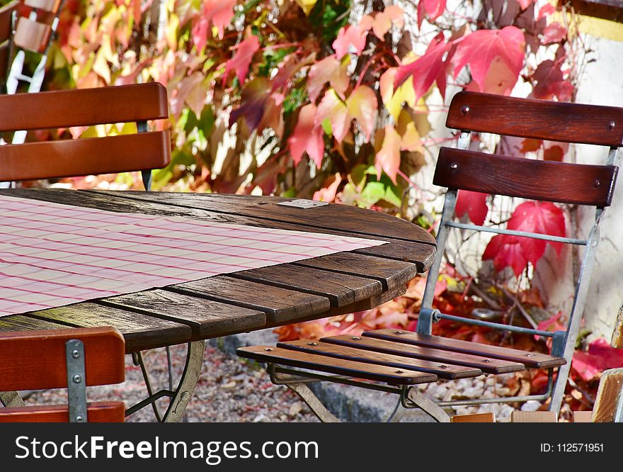 Table, Furniture, Autumn, Plant