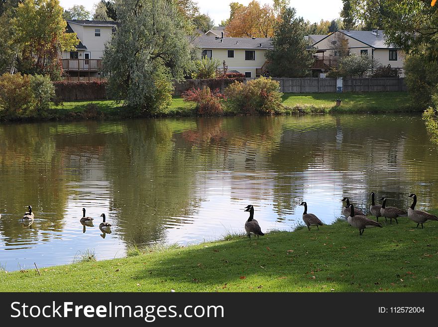 Waterway, Water, Body Of Water, Reflection