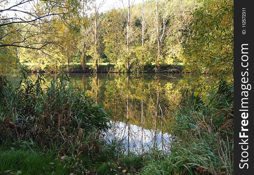 Water, Reflection, Nature, Nature Reserve