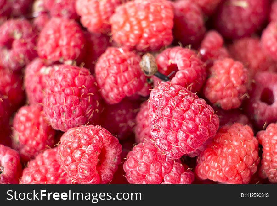 Natural Foods, Raspberry, Berry, Fruit