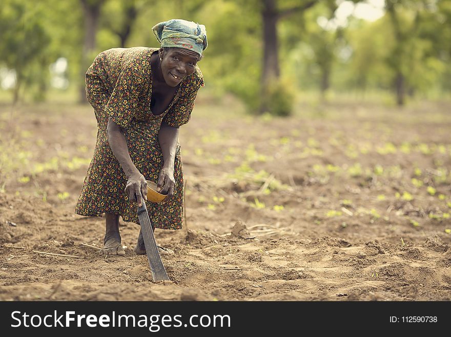 Soil, Agriculture, Field, Crop