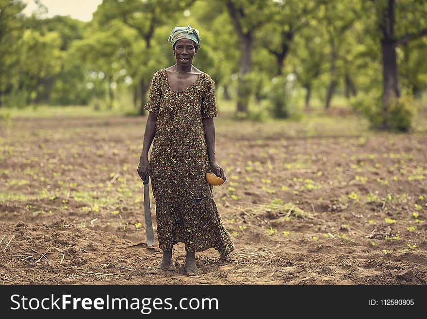 Field, Agriculture, Grass, Soil