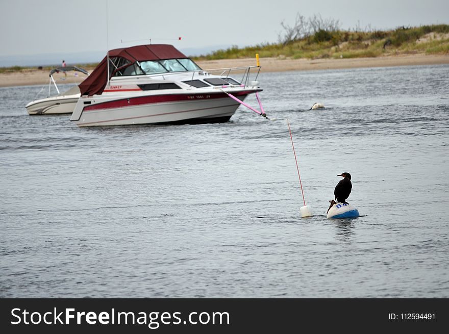 Waterway, Water Transportation, Boat, Motorboat