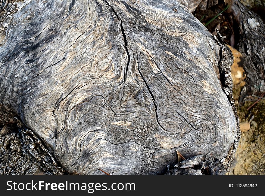 Rock, Tree, Bedrock, Wood