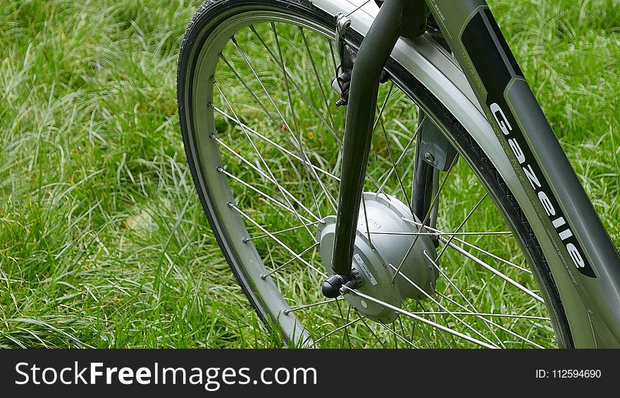 Road Bicycle, Bicycle, Bicycle Wheel, Wheel