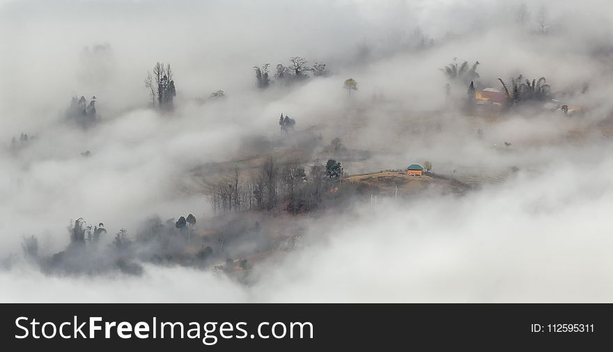 Fog, Geological Phenomenon, Atmosphere Of Earth, Mist