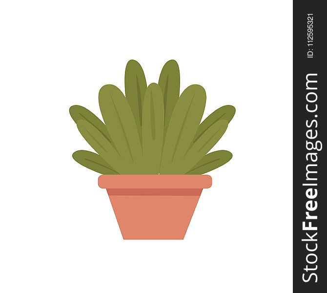 Plant, Flowerpot, Cactus, Grass