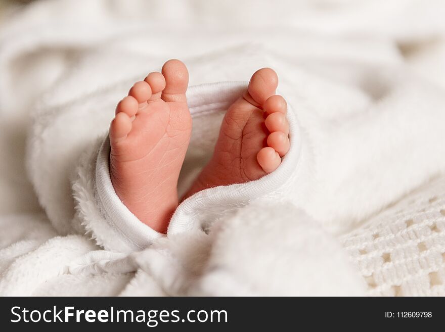 Bare feet of a cute newborn baby in warm white blanket. Small bare feet of a little baby girl or boy. Sleeping newborn