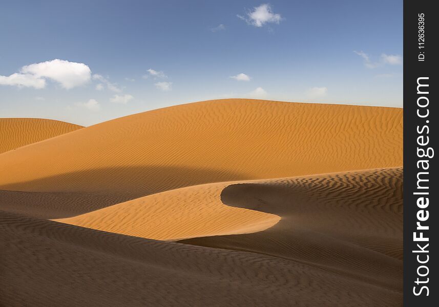 Landscape In Evening Desert