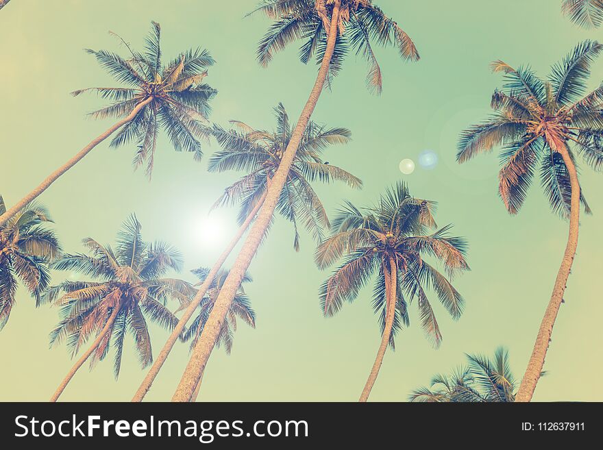 Silhouettes of palm trees against the blue tropical sky, bottom view