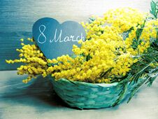 Mimosa Yellow Bush Spring Floral Background 8 March Card Stock Image