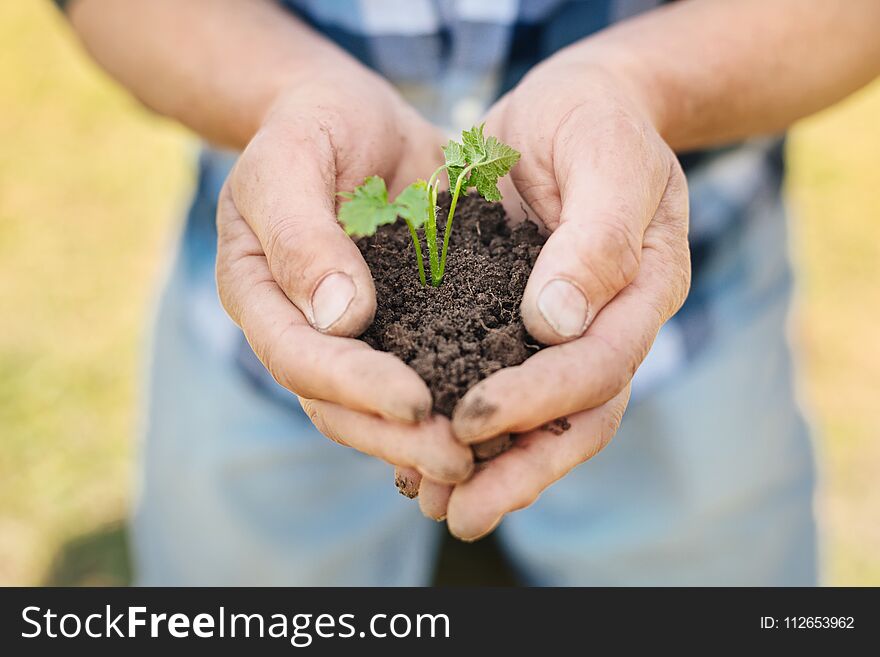 High fertility. Close up of soil in hands of a pleasant man sitting on the knees in the garden. High fertility. Close up of soil in hands of a pleasant man sitting on the knees in the garden