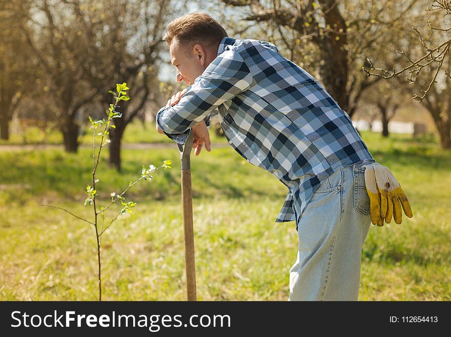 Enjoy every moment of spring. Pleasant delighed adult man leaning on the shovel and standing in the garden while feeling happy. Enjoy every moment of spring. Pleasant delighed adult man leaning on the shovel and standing in the garden while feeling happy