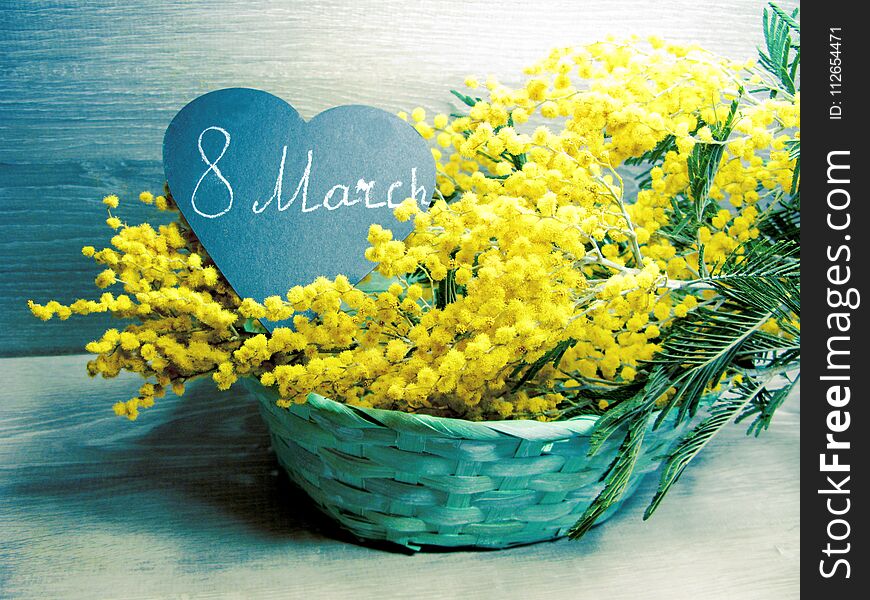 Mimosa yellow bush spring floral background 8 march card