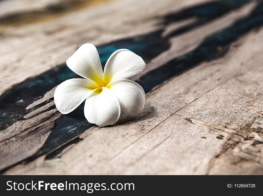 Plumeria flower is lying on wooden texture background with some part of glass in it. It is part of interior in spa zone in salone. Plumeria flower is lying on wooden texture background with some part of glass in it. It is part of interior in spa zone in salone