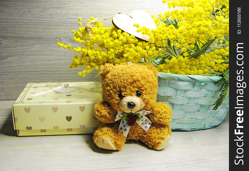 Mimosa Yellow Bush Spring Floral Background 8 March Card