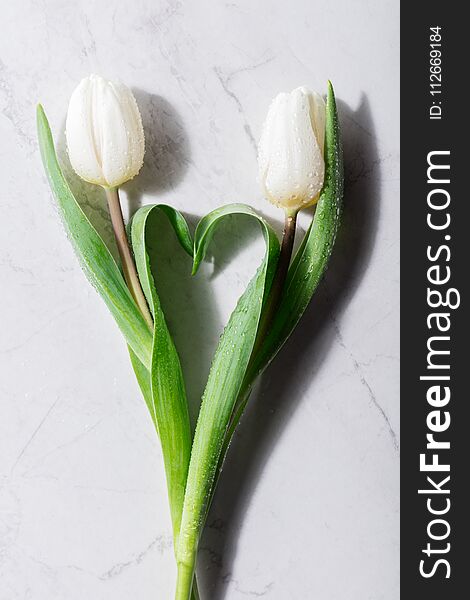 Two fresh tulips creating a heart shape. Love and anniversary celebration. Flat lay.