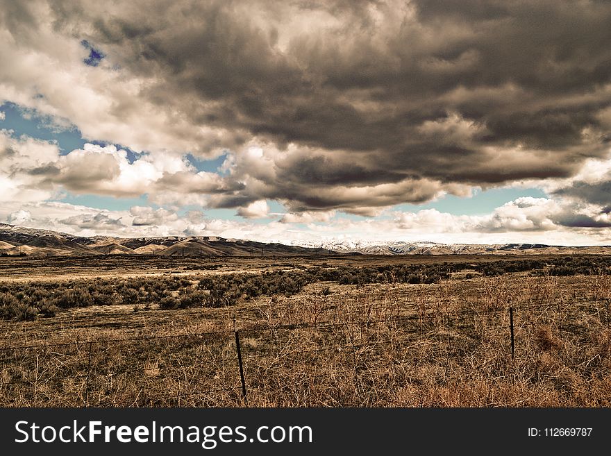 Green Grass Field Under Cloudy Sky