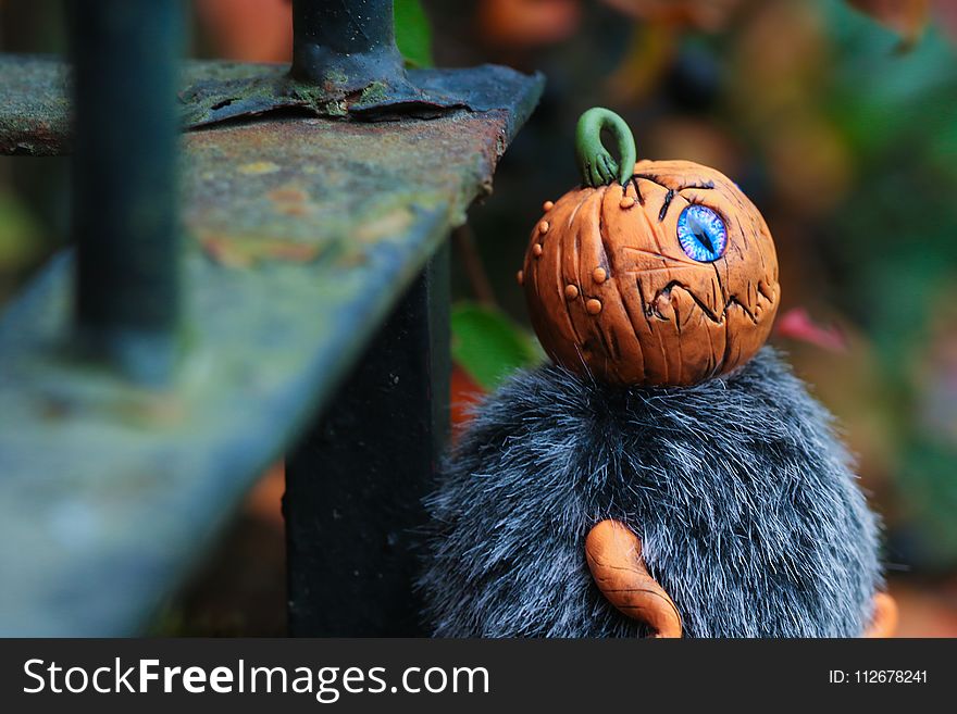 Pumpkin, Halloween, Carving, Fun