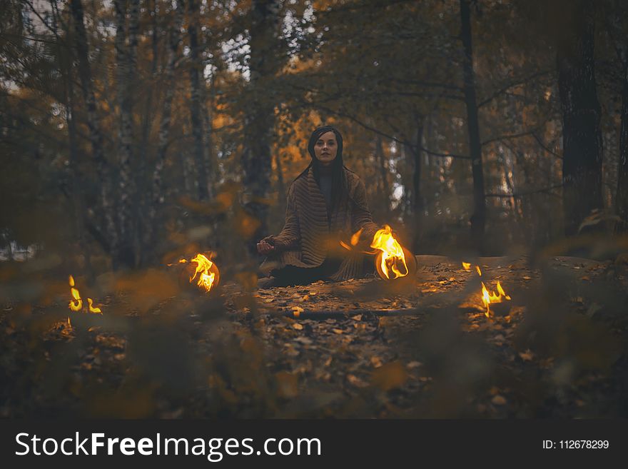 Forest, Bonfire, Geological Phenomenon, Darkness