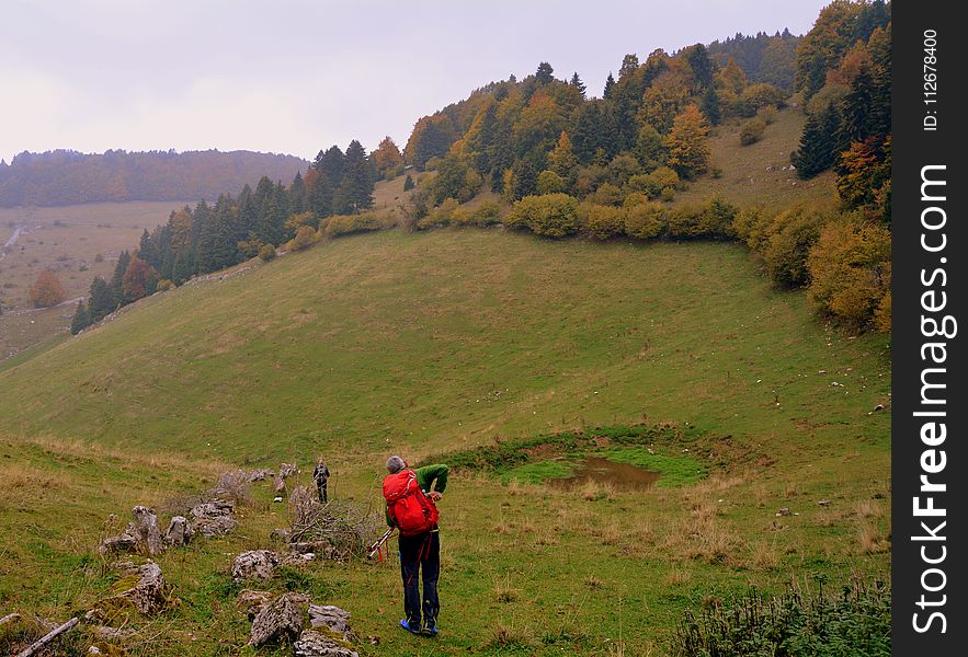 Grassland, Hill, Highland, Wilderness