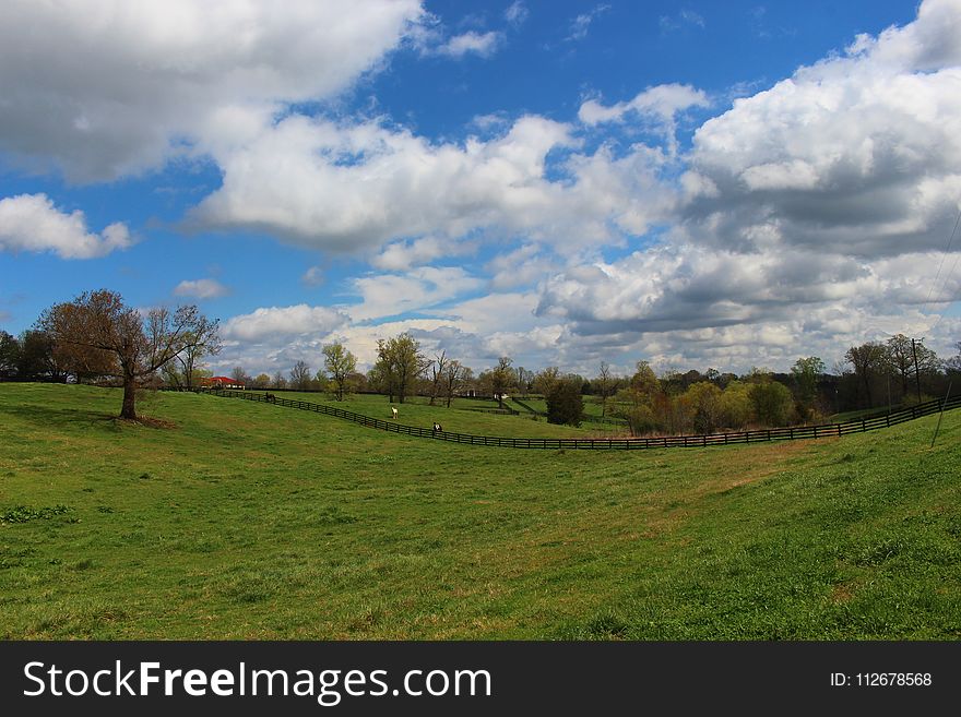 Sky, Cloud, Grassland, Pasture