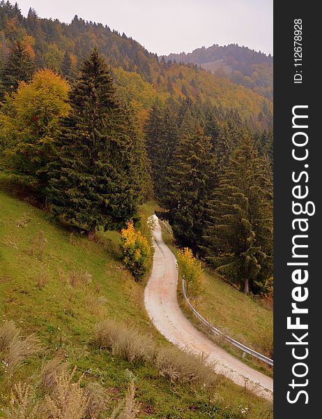 Nature, Mountainous Landforms, Road, Path