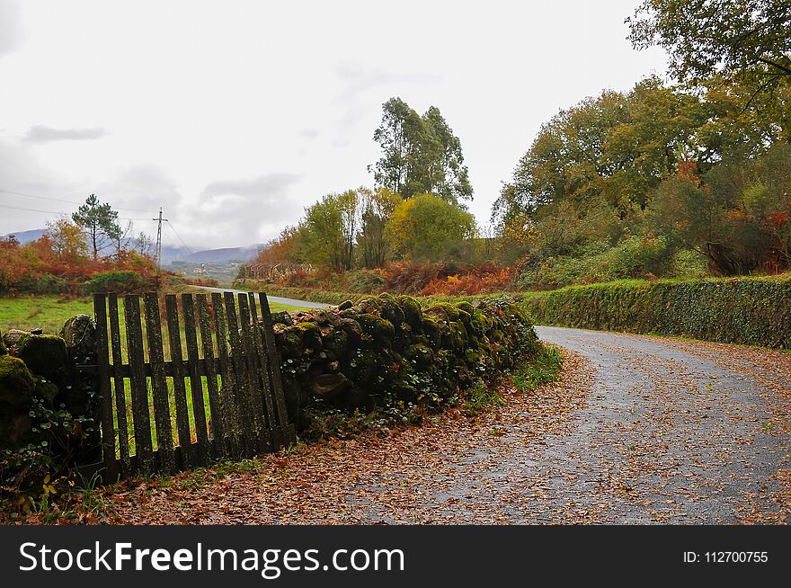 Autumn colors in the fields